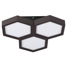 Люстра Favourite Favum 2142-3C