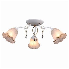 Люстра Natali Kovaltseva