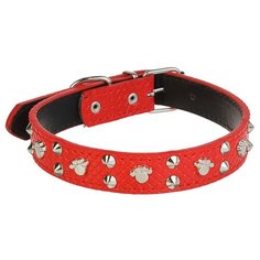 Ошейник Пижон Путешественник