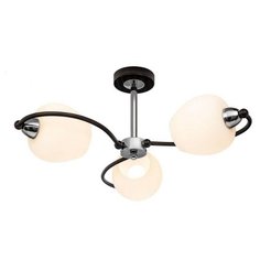 Люстра Silver Light Tefiya