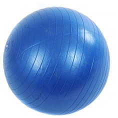 Фитбол Shantou Gepai IT104655