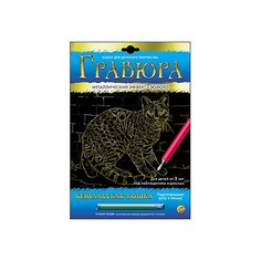 Гравюра Рыжий кот Бенгальская