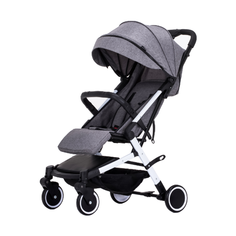 Прогулочная коляска Oley 308 серый