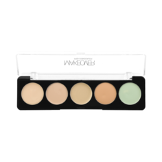 MAKEOVER Набор консилеров на палетке Pro-concealer, оттенок C0302 (asian)