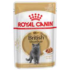 Корм для кошек Royal Canin Британская короткошерстная для профилактики МКБ 85 г (кусочки в соусе)