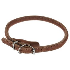 Ошейник Аркон Стандарт (очк) 45-53 см коньячный