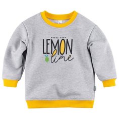 Свитшот Bossa Nova размер 98, серый