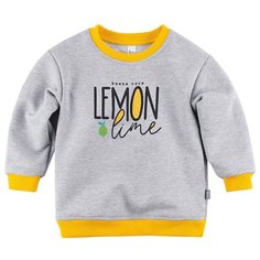 Свитшот Bossa Nova размер 74, серый меланж