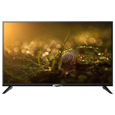 Телевизор Skyworth 24F1000 24" (2019) черный