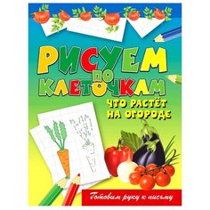 Зайцев В.Б. "Рисуем по клеточкам. Что растет на огороде" Рипол Классик