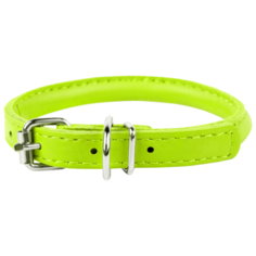 Ошейник COLLAR Glamour круглый 3507 45-53 см лайм