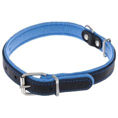 Ошейник Аркон Фетр (оф25) 40-54 см черный/голубой