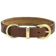Ошейник Waifs & Strays Classic на замшевой подкладке XXL 48-56 см коричневый