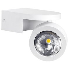 Спот Lightstar Snodo 055164