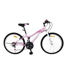 Городской велосипед Next N150 24 (2020) розовый 14.5" (требует финальной сборки)