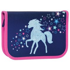 TIGER FAMILY Пенал с наполнением Rainbow Horse (228919) синий