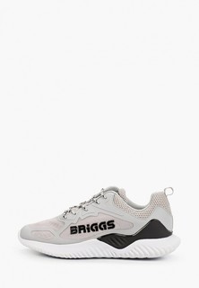 Кроссовки Briggs