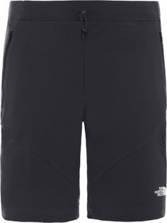 Шорты мужские The North Face Impendor Alpine, размер 52