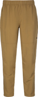 Брюки мужские The North Face Class V, размер 46