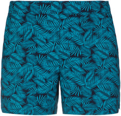 Шорты плавательные мужские Speedo Vintage Leisure, размер 48-50