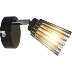 Спот Lussole GRLSP-9900