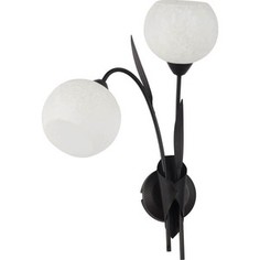 Бра Lussole GRLSF-6291-02