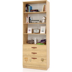 Шкаф СКАНД-МЕБЕЛЬ Вояж-11 бунратти