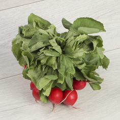 Редис с зеленью Noname