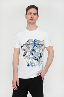 Фуфайка мужская Finn Flare