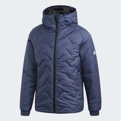 Куртка BTS Winter adidas TERREX