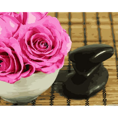 Картина по номерам на холсте 40*50 см Raduga "Фен-шуй" (RDG-3112)