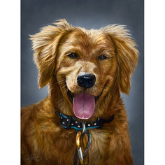 Картина по номерам на холсте 40*50 см Colibri "Рыжий пёс" (VA-0610)