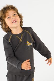 Свитшот для мальчика Bossa Nova, цв.серый, р-р 116