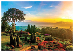 Пазл Educa Красивый сад 1000 элементов