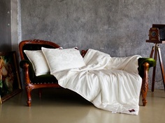 Одеяло стеганое Luxury Silk Grass, всесезонное 220х240