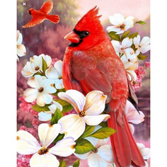 Картина по номерам на холсте 40*50 см Colibri "Птица на цветке" (VA-1101)