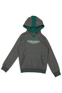 Толстовка детская ASTON MARTIN, цв. серый, р-р 140