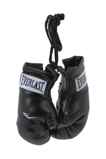 Брелок Mini Boxing Glove EVERLAST