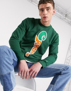 Зеленый свитер с круглым вырезом Carrots