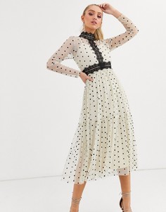 Кремовое платье миди в черный горошек с длинными рукавами и кружевом Lace & Beads-Мульти