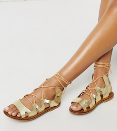 Золотистые кожаные гладиаторские сандалии ASRA-Золотой