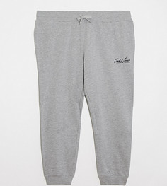 Серые джоггеры Jack & Jones Plus-Серый
