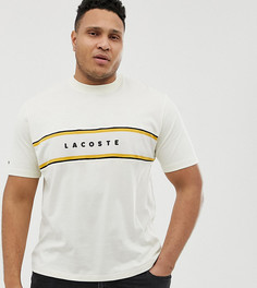 Белая футболка с полосками Lacoste-Белый