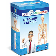 Набор для опытов 1Toy "Экспериментариум" Строение скелета