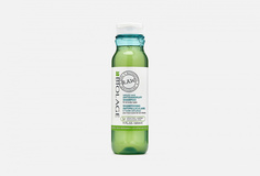 Шампунь против перхоти Biolage
