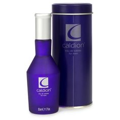 Туалетная вода Caldion Caldion