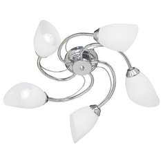 Люстра Vitaluce V3236 5PL E14