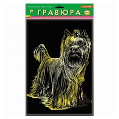 Гравюра Рыжий кот Собачка в