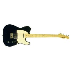 Электрогитара Alina Pro Bluesman