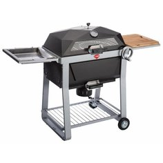 Угольный гриль Forester